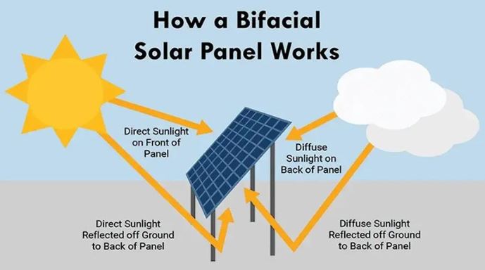 bifacial.JPG